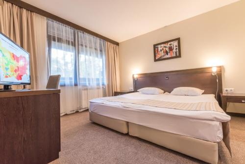 Lion Hotel Borovets