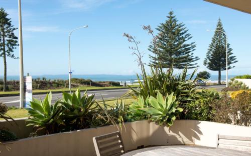 Three-Bedroom Apartment - Beach Front