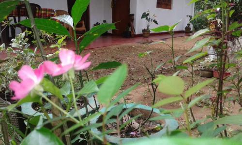 Winstar Homestay - image 3