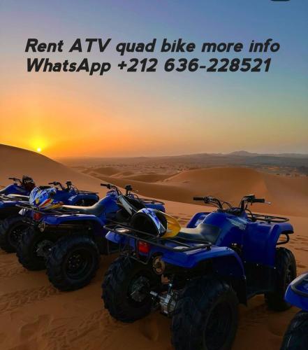 Berber Safari Camping