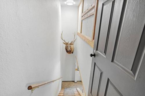 The Four Pines - Whole Unit in Morrison, USA