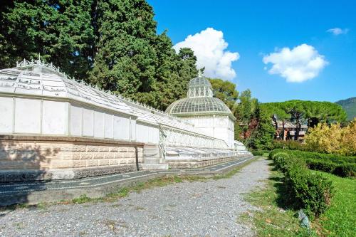 The Green House