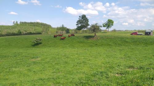Harzer Bauernhof in Thale, Deutschland