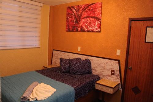 Hotel Los Diamantes Orizaba in Orizaba, Mexico