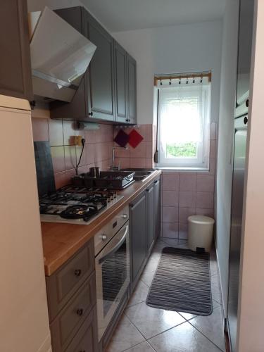 virtuve, House Polane in the Forest, 45 km from Seaside in Delnice