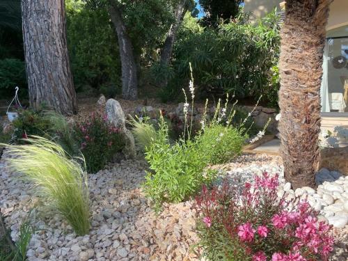 La Beluga – Saint Maxime, WY