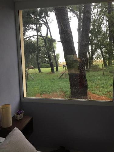 Refugio Zen in Sierra De Los Padres