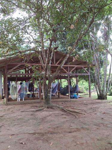 Hamac à Casa Da Flora (Hamac a Casa Da Flora) in รูรา