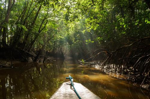 Hamac à Casa Da Flora (Hamac a Casa Da Flora) in รูรา