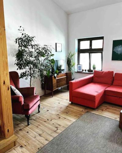 Bonjour Apartment - Old Town Mostowa, Toruň