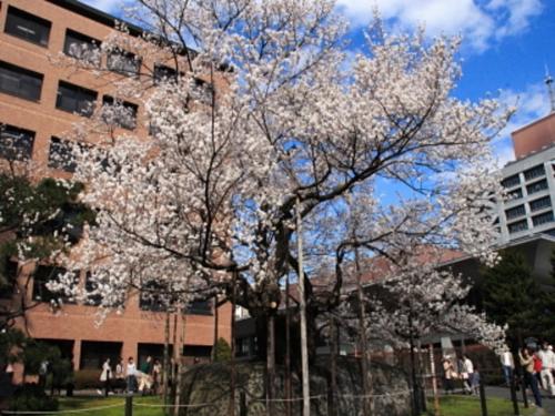 KITA HOTEL - Vacation STAY 69748v
