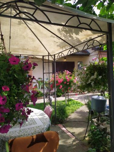 Kilátás, Apartment Ljupka in Center