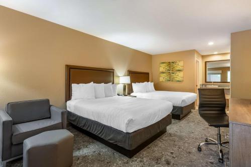 2 queen beds