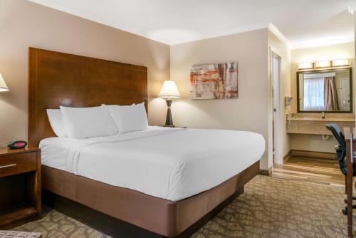 1 king bed