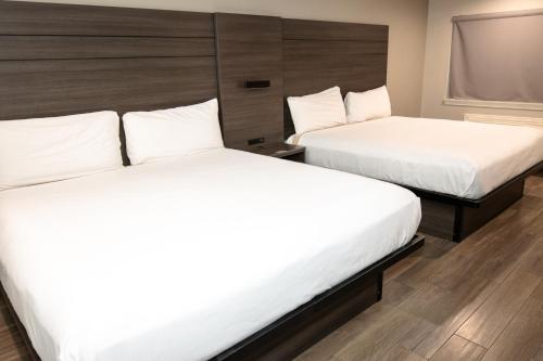 Americas Best Value Inn Harlingen - image 14