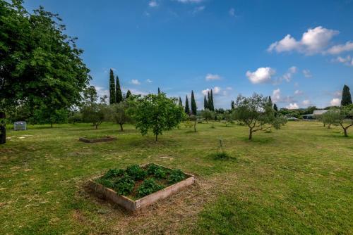 Apartments with parking space Rovinj - 22740 - image 3