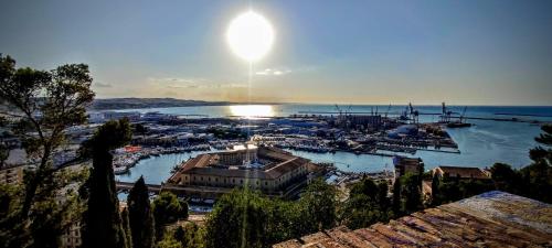 B&B L'Assiolo 4