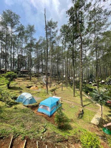 Surrounding environment, Finest Camp in Bandung