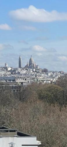 Magnifique appartement, Parigi
