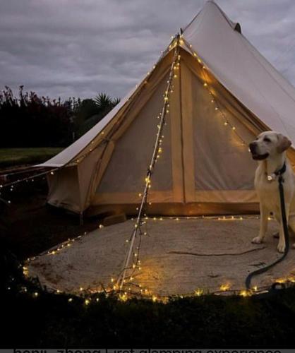 Mountain View Tilba Tilba - Glamping