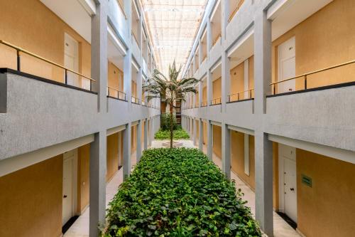 APARTAMENTOS FIBES GARDEN SEVILLA 3
