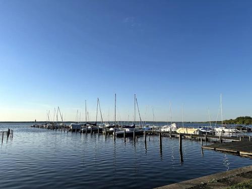 Meer Heimat am Steinhuder Meer