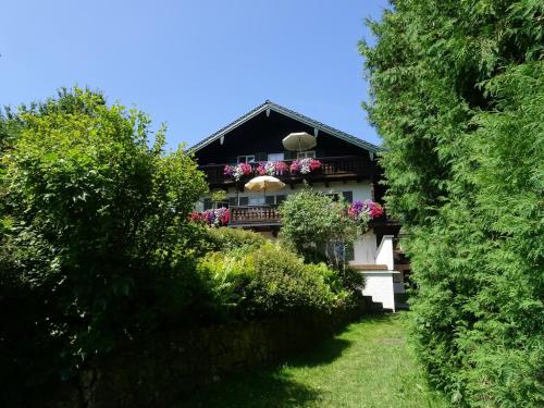 Elbrächter in Gstadt am Chiemsee, Deutschland