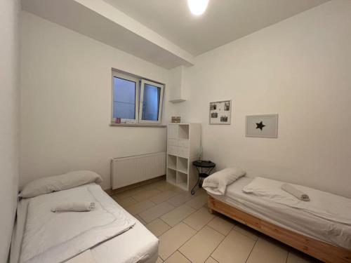 Private Souterrain Apartment in the green of Berlin Private Souterrain Apartment in the green of Berlin