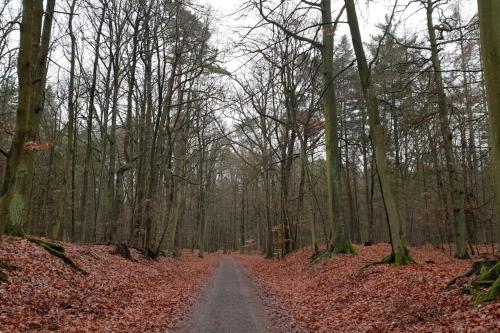 Private Souterrain Apartment in the green of Berlin Private Souterrain Apartment in the green of Berlin