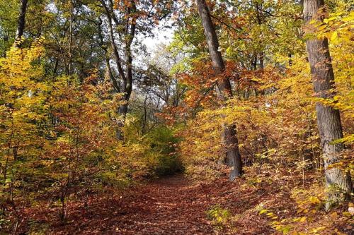 Private Souterrain Apartment in the green of Berlin Private Souterrain Apartment in the green of Berlin
