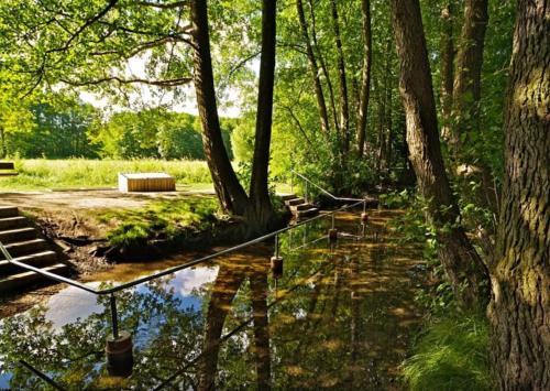 Private Souterrain Apartment in the green of Berlin Private Souterrain Apartment in the green of Berlin