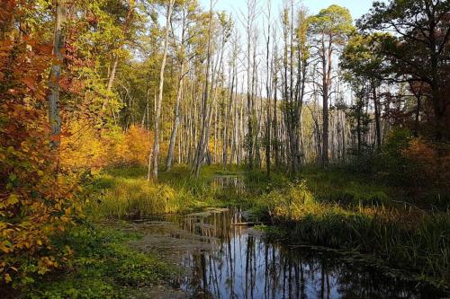 Private Souterrain Apartment in the green of Berlin Private Souterrain Apartment in the green of Berlin
