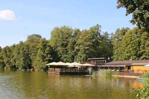 Private Souterrain Apartment in the green of Berlin Private Souterrain Apartment in the green of Berlin