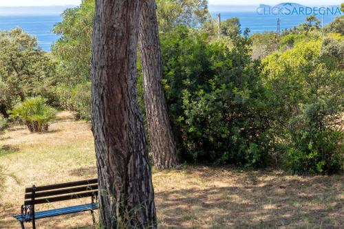 Alghero Villa Barranch with sea view swimming pool for 6 people - Tap to explore photos