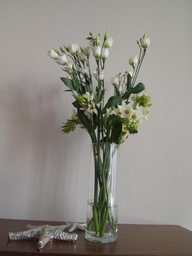 Wohnung 10 Haus Oldenburg - image 12