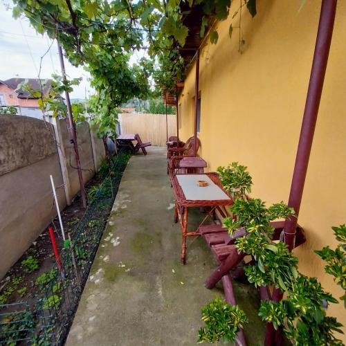 Kilátás, CASA ANDREEA in Ranca - Novaci