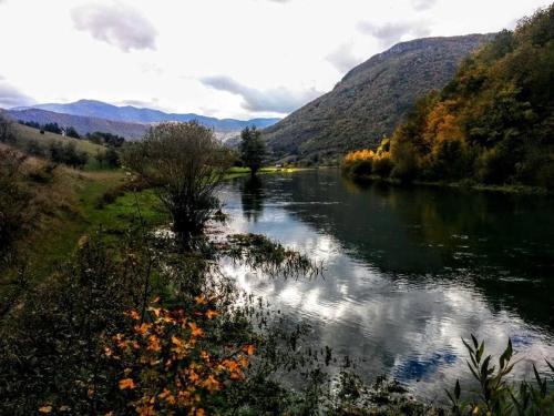 Bed and Breakfast Family Djukic - image 13