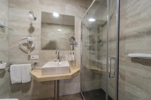 Hotel Infanta Isabel - image 3