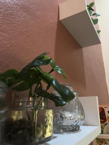 Mayyah Guest House