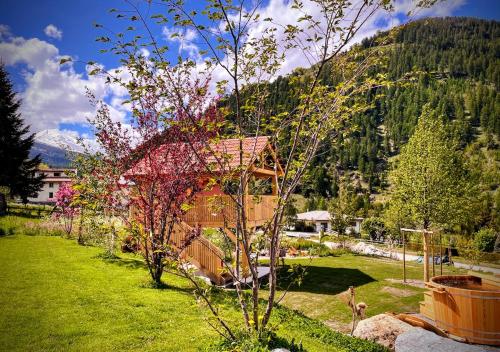 B&B Villa Stelvio