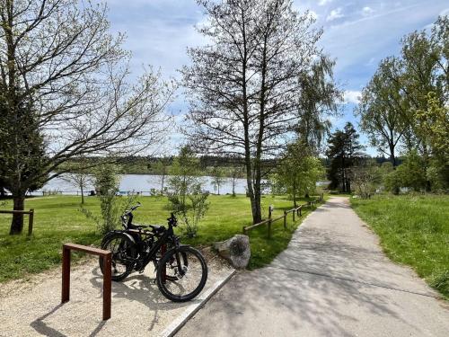 Holiday Home Mily by Interhome in Loffingen