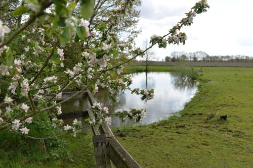 Zur Eiche, Haselünne (fotografie 10)