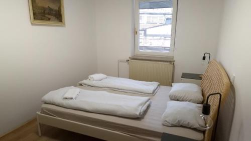 Ljubljana rest nest, Lublaň (fotografie 9)