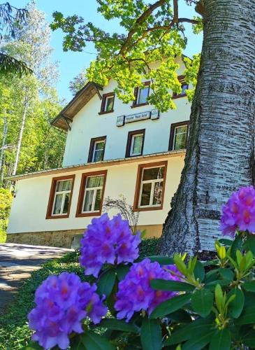 Pension Haus Anna in Kurort Altenberg, Deutschland