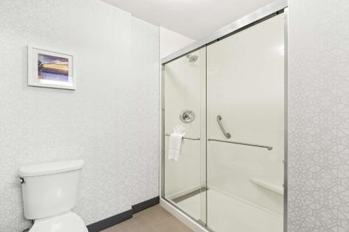 Hampton Inn & Suites Phoenix-Goodyear - image 10