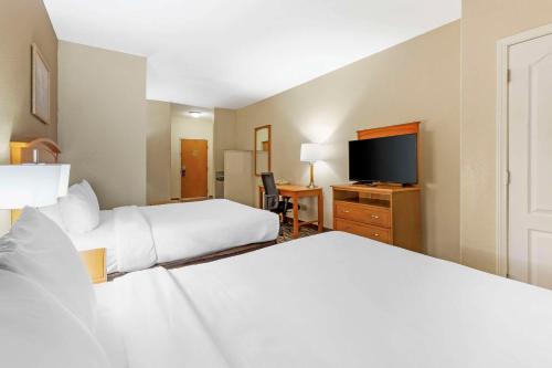 Comfort Inn & Suites Chesapeake - Portsmouth - image 2