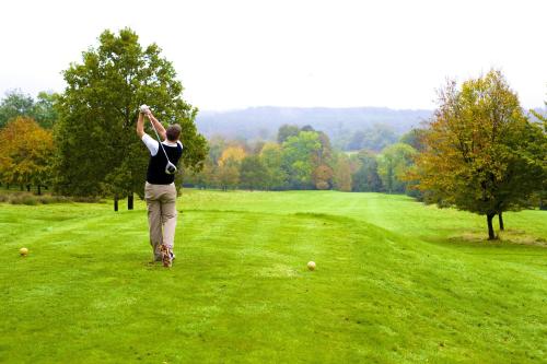 Ashdown Park Hotel - image 10
