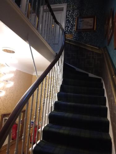 Braveheart Guest House - image 9