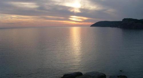 Apartmani Marina in Sutomore