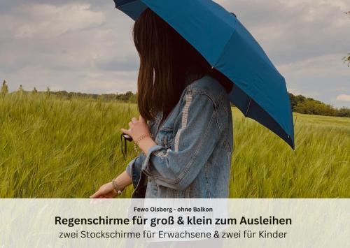 Ferienwohnungen Sauerland und Olsberg